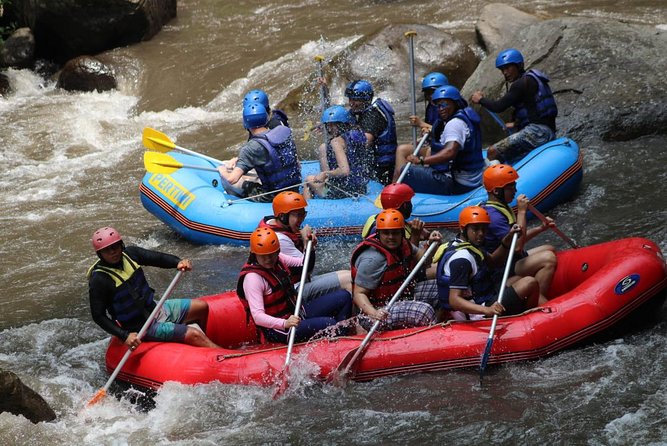 Green Bali Rafting Ticket And Transfer - What the $23.07 price really covers