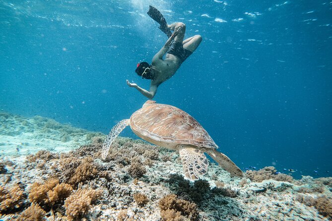 Group Snorkeling Tour Gili Islands Including GoPro Documentation - Three underwater stops from Gili Trawangan