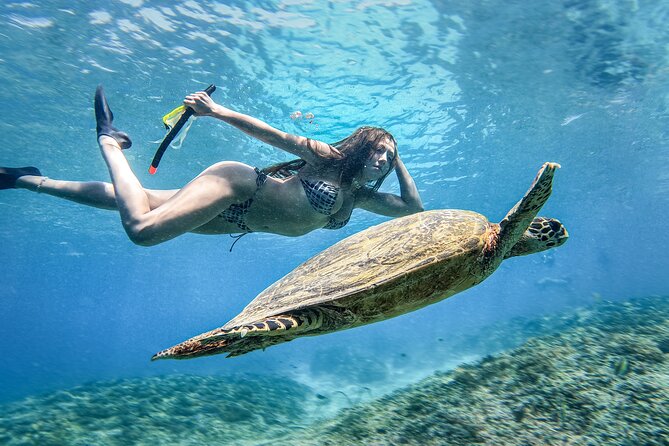 Group Snorkeling Tour Gili Islands Including GoPro Documentation - Underwater statues, coral, and the GoPro