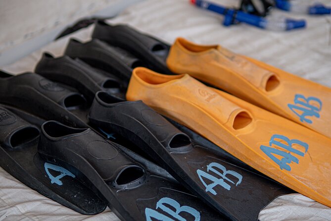 Group Snorkeling Tour Gili Islands Including GoPro Documentation - Equipment, guides, and what is included