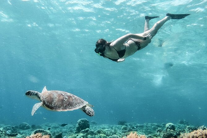Group Snorkeling Tour Gili Islands Including GoPro Documentation - Is $15.28 good value?