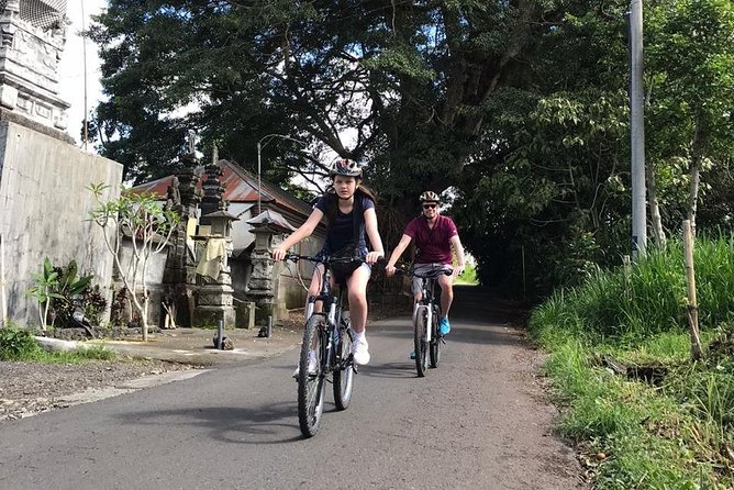 Half Day Cycling Tour ( Manual Bike ) - Rice fields and Bali’s irrigation system at Bresela