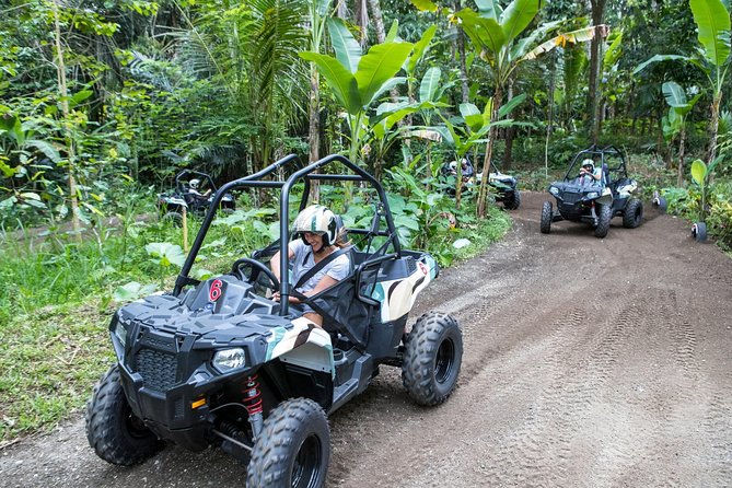 Half Day Jungle Buggies in Bali with Guide - Getting ready with safety gear and insurance