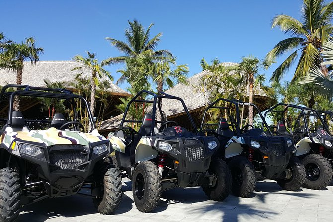 Half Day Jungle Buggies in Bali with Guide - Lunch, chocolate, and the quieter part of the day