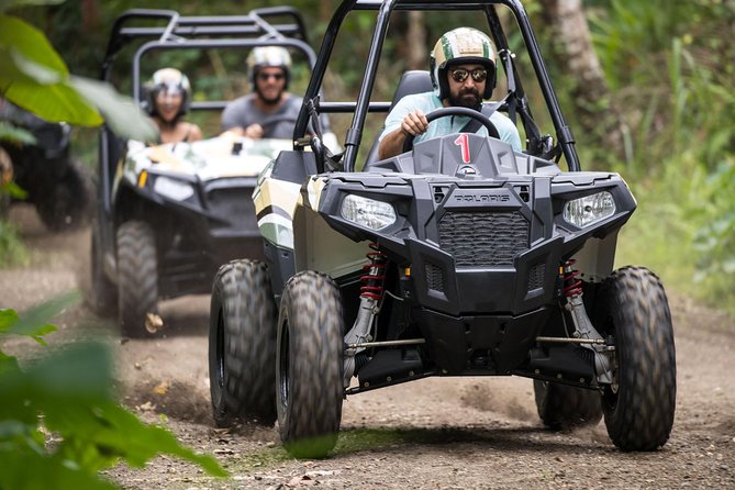 Half Day Jungle Buggies in Bali with Guide - Who will enjoy this most