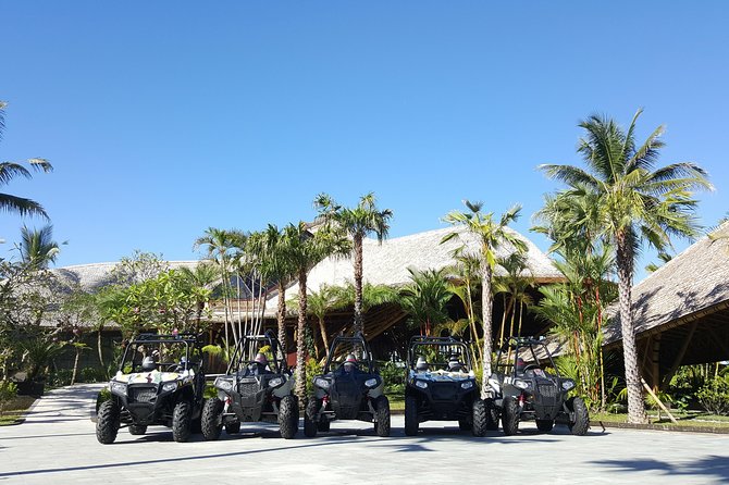 Half Day Jungle Buggies in Bali with Guide - My verdict on the Mason Adventures buggy tour