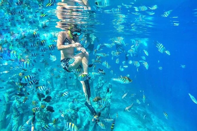Half-Day Private Guided Snorkeling Turtles Underwater Statues - Key things to know before booking