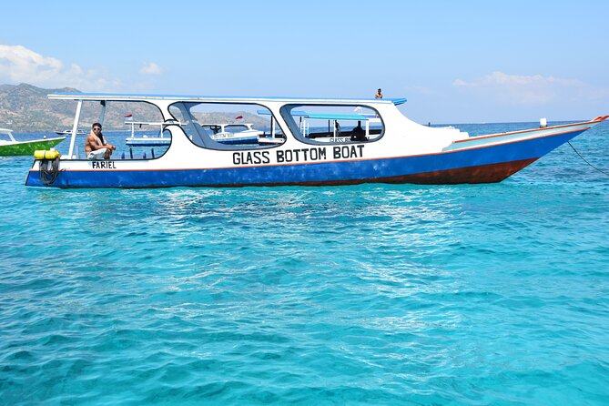 Half-Day Private Guided Snorkeling Turtles Underwater Statues - Gili Air and Fish Garden: your best turtle chance