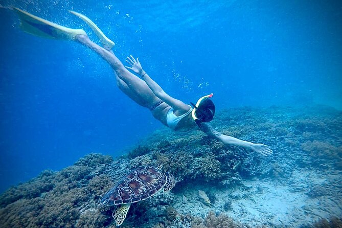 Half-Day Private Guided Snorkeling Turtles Underwater Statues - Timing, weather, and water conditions