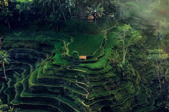 Half Day Private Tour in Ubud - Why a private car works well for Ubud’s scattered sights