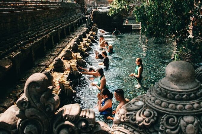 Half Day Private Tour in Ubud - Tegalalang Rice Terrace: beautiful views, optional thrills