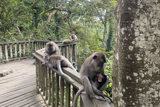 Half Day Private Tour in Ubud - How the guides affect the experience