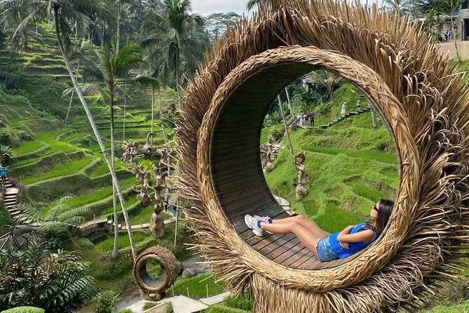 Half Day Private Tour in Ubud - What the $57 price really covers