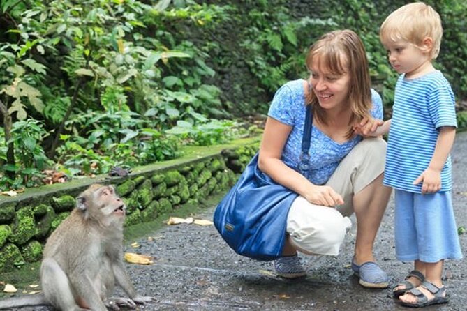Half Day Private Tour in Ubud - Sacred Monkey Forest: a temple complex with teeth and tails