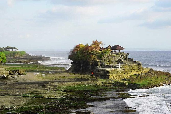 Half Day Tour: Tanah Lot Sunset & Taman Ayun Temple Included Entrance Ticket - The coffee plantation question