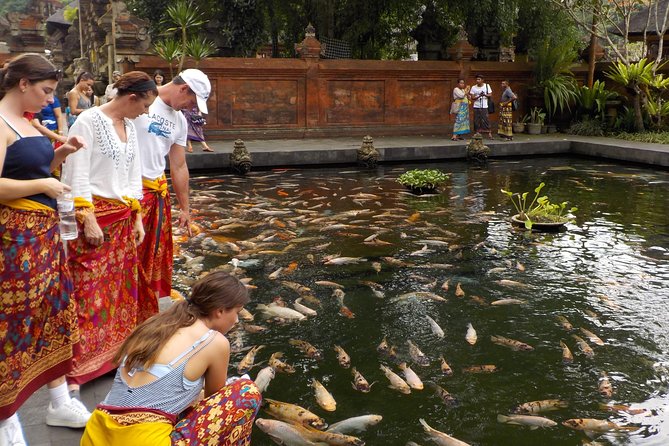 Half-Day Ubud Electric Cycling Tour to Tirta Empul Water Temple - Rice paddies, ducks, and everyday Balinese life