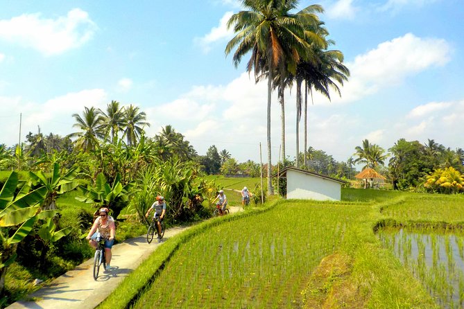 Half-Day Ubud Electric Cycling Tour to Tirta Empul Water Temple - Tirta Empul and the purification springs