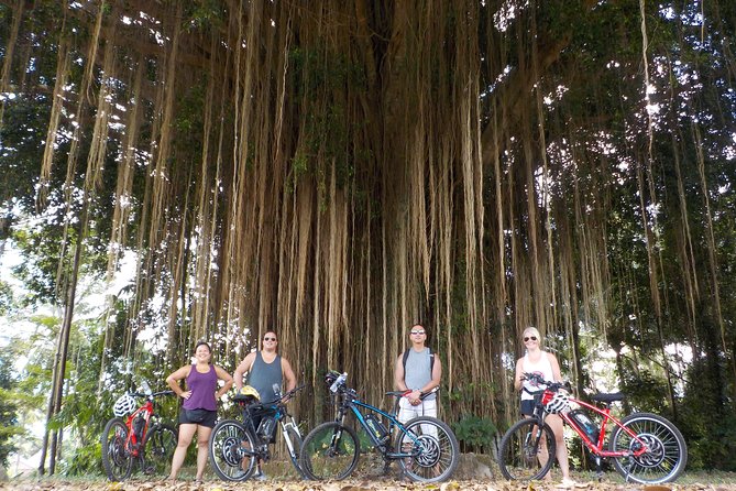 Half-Day Ubud Electric Cycling Tour to Tirta Empul Water Temple - Balinese lunch at Pangkon Bali Resto