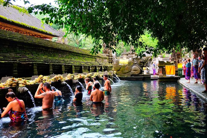 Half-Day Ubud Electric Cycling Tour to Tirta Empul Water Temple - Is $49 a fair price?