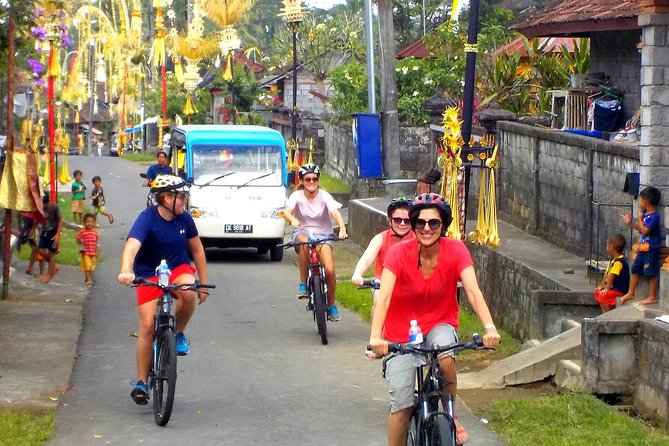 Half-Day Ubud Electric Cycling Tour to Tirta Empul Water Temple - Who should book this morning?