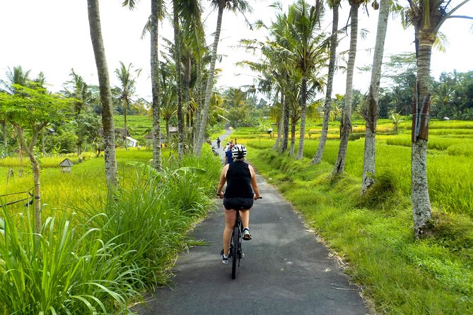 Half-Day Ubud Electric Cycling Tour to Tirta Empul Water Temple - From Ubud pickup to quiet village roads