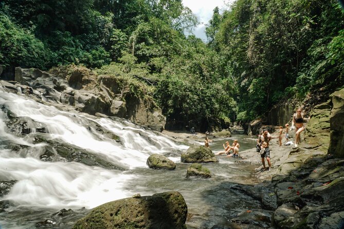 Half Day Ubud Waterfall Tour - Three waterfalls in four hours