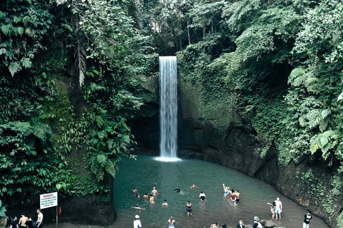 Half Day Ubud Waterfall Tour - What the $32 price really covers