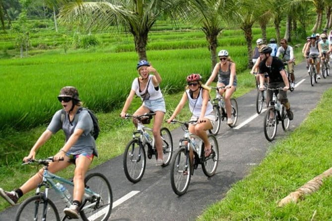 Halo Bike Cycling Tour Downhill - From hotel pickup to Bali’s back roads