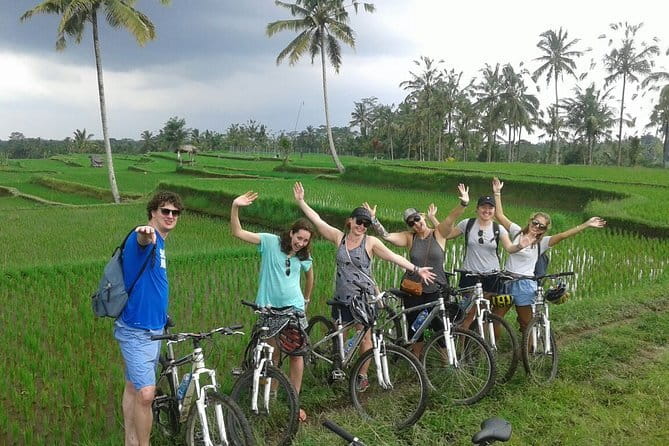 Halo Bike Cycling Tour Downhill - Rice fields, farmers, and the everyday countryside