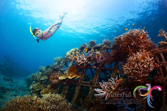 Have fun 1 day in Nusa Penida: snorkeling, kelingking & broken beach incl lunch - Key points before you book
