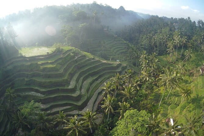 Hidden North Waterfall Bali All inclusive - Munduk finishes with cool air and coffee country
