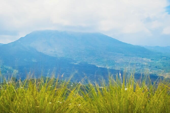 Highlight of Bali Tour - Bukit Jati tea, coffee, and the last view