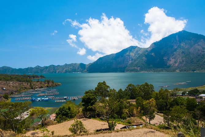 Highlights of Ubud & Mount Batur Volcano - Private Day Trip - Tegalalang Rice Terrace: a short walk through Bali’s farming country