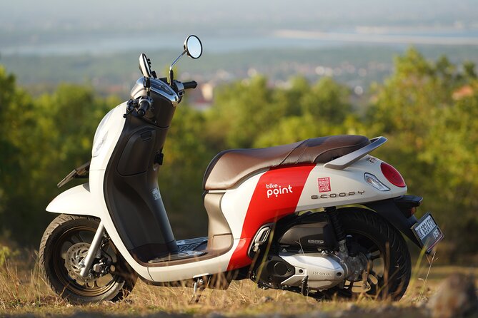 Honda Scoopy Rental in Bali - Why a Honda Scoopy Makes Sense in Bali