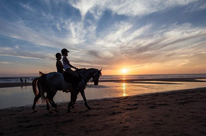 Horse Riding on the Black Sand Beach and Free Hotel Transfers - The horses, guide, and photo help