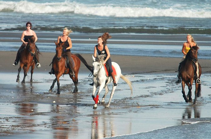 Horse Riding on the Black Sand Beach and Free Hotel Transfers - Who will enjoy this four-hour Bali outing