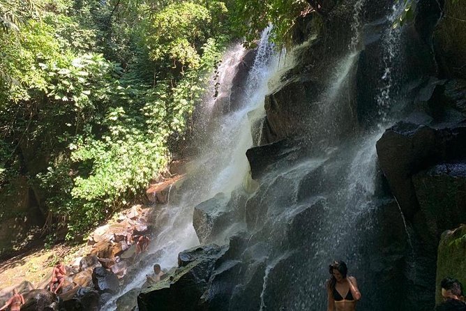 Individual Bali Day Trip with Private Driver and Free WiFi - Tanah Lot, Canggu, and the west coast
