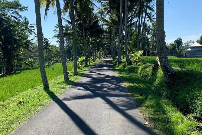 Individual Bali Day Trip with Private Driver and Free WiFi - North Bali and the mountain lakes