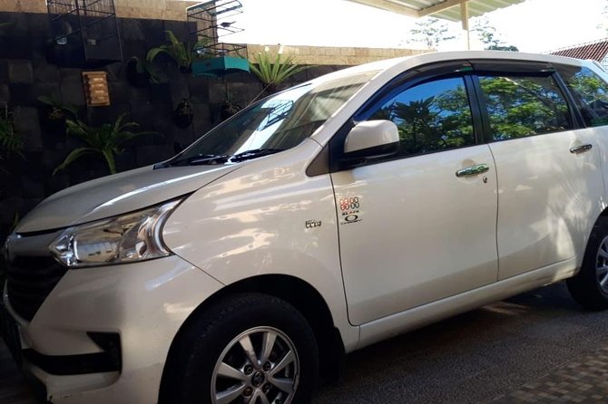 Individual Bali Day Trip with Private Driver and Free WiFi - East Bali and the Gate of Heaven