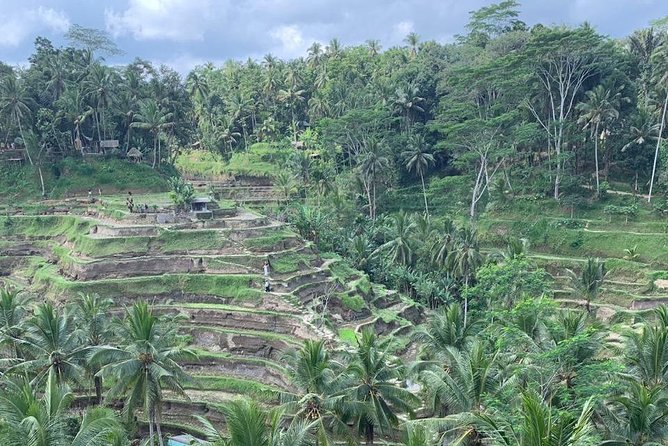 Individual Bali Day Trip with Private Driver and Free WiFi - Sanur, Denpasar, and easier local stops