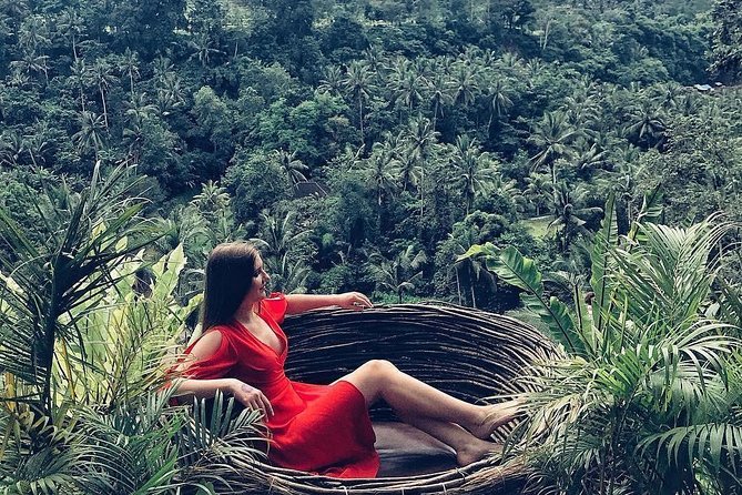 Individual Bali Day Trip with Private Driver and Free WiFi - What the $38 price really covers