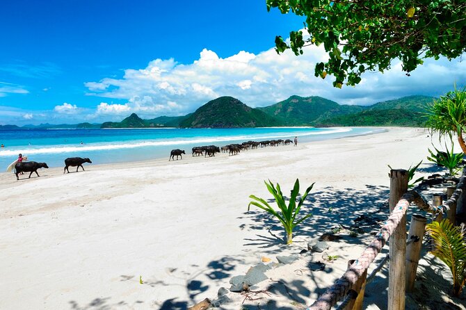 Instagramable Beach Hopping Trip - The real value of $76.02 per group