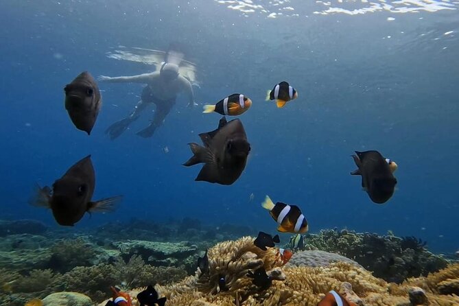 Island Hoping 5 Gili : Gili Gede, Asahan, Rengit, Layar & Goleng - Gili Rengit: a smaller island stop