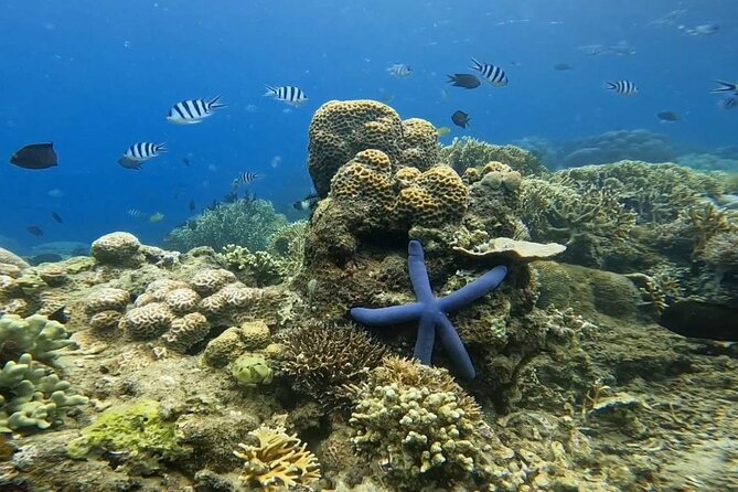 Island Hoping 5 Gili : Gili Gede, Asahan, Rengit, Layar & Goleng - Gili Asahan: a scenic highlight with places to stay
