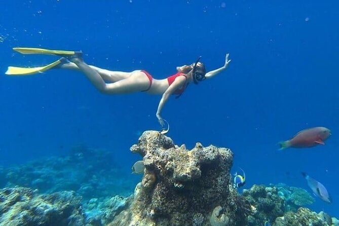 Island Hoping 5 Gili : Gili Gede, Asahan, Rengit, Layar & Goleng - Gili Goleng: confirm this stop in advance