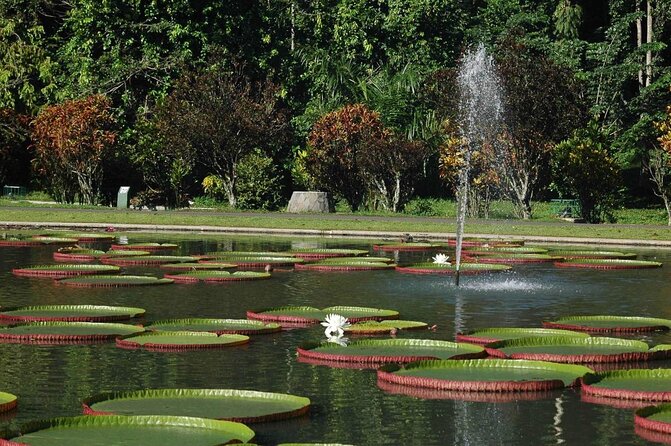 Jakarta Bogor Botanical Garden, Waterfall and Rice terrace, Lunch - Key points to know before booking