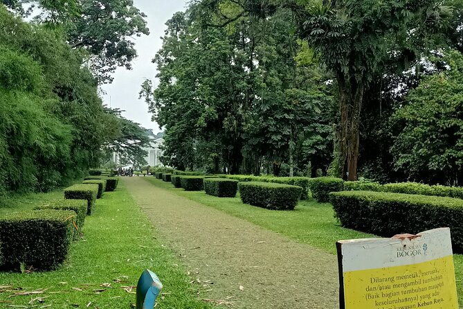 Jakarta Bogor Botanical Garden, Waterfall and Rice terrace, Lunch - Why Bogor makes a good escape from Jakarta