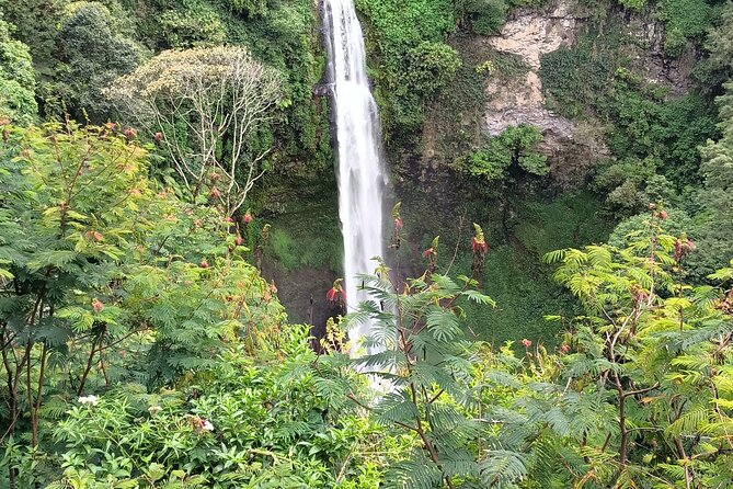 Jakarta Bogor Botanical Garden, Waterfall and Rice terrace, Lunch - A Sundanese lunch with mountain and rice-field views
