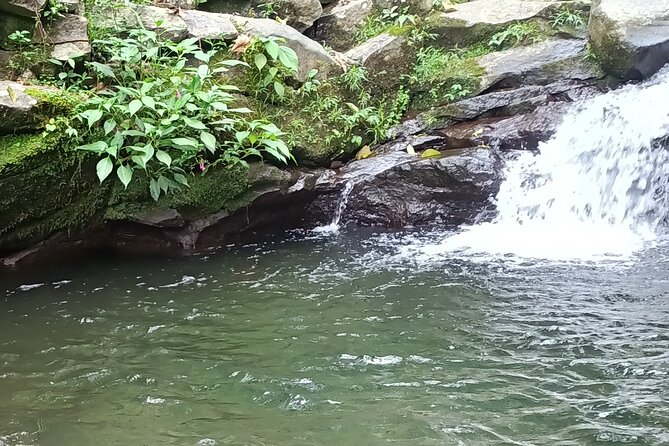 Jakarta Bogor Botanical Garden, Waterfall and Rice terrace, Lunch - The rough trail to Nangka Waterfall