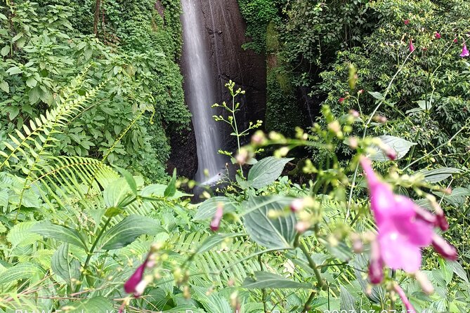 Jakarta Bogor Botanical Garden, Waterfall and Rice terrace, Lunch - Timing the route from Jakarta or the cruise port
